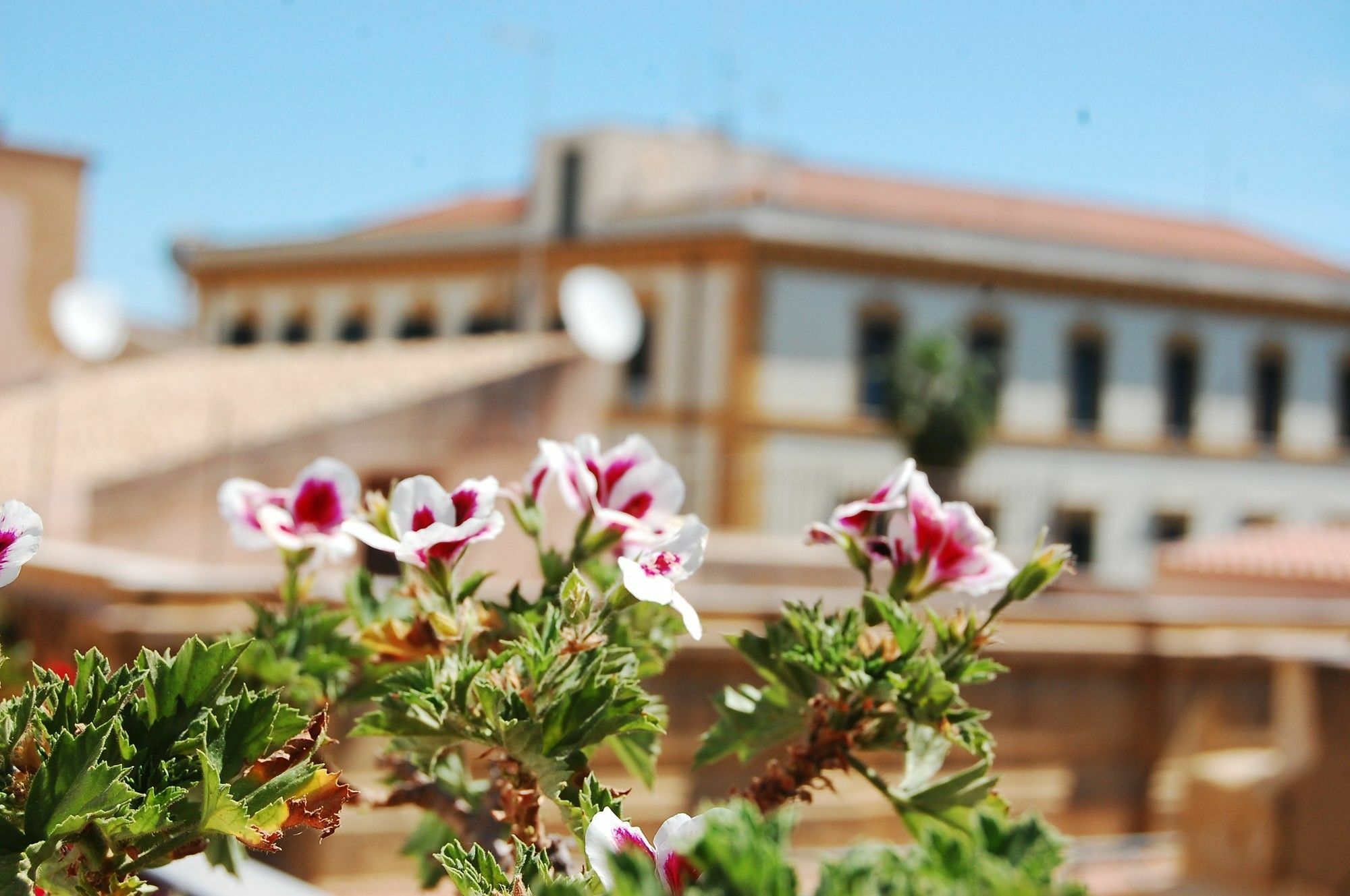 Portatenea - Atenea Collection Agrigento Ngoại thất bức ảnh